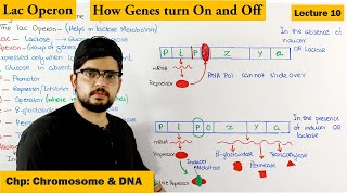 Regulation of gene Expression  Lac Operon  Lecture 10 [upl. by Devy]