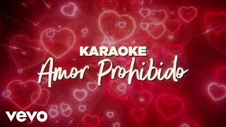 Grupo Bryndis  Amor Prohibido Karaoke [upl. by Aiden]