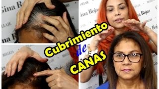 Cubrir canas difíciles Técnica de prepigmentación AprendeConGina [upl. by Eixam]