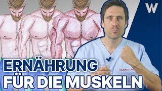 5x Ernährung für den schnellen Muskelaufbau amp Transformation Diese Nahrung geht in die Muskeln [upl. by Annazus]