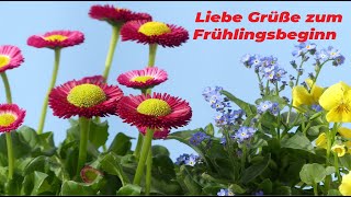 Liebe Grüße zum Frühlingsbeginn 💐🌞🎶 [upl. by Leinahtan]