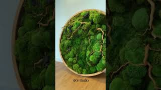 Preserved moss wall art  The best way to make your personal space for better mental health [upl. by Ihcego]