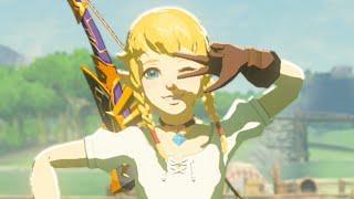 New BodyRig and Animation Linkle ModUnreleased [upl. by Eardnaed]