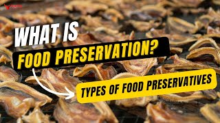 Food Preservatives – Types of Food Preservatives – Food Science amp Technology [upl. by Akiraa]