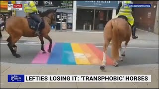 Transphobic horses spooked by rainbow crossing [upl. by Yelsehc783]