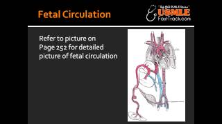 Fetal Circulation [upl. by Karp196]