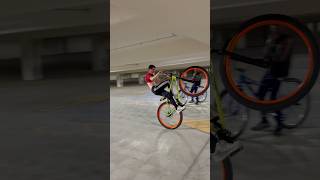 NEW TRICK MAFIA 29 INCH mafia bmx [upl. by Lusty]