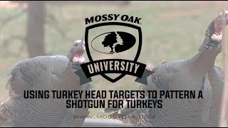 Using A Turkey Head Target To Pattern Your Shotgun [upl. by Neeroc]