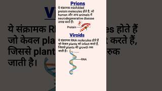 Prions Viroids Virus and Virion  Difference between prions and Viroids [upl. by Auohs536]