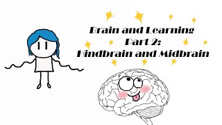 Brain and Learning Part 2 Exploring Hindbrain and Midbrain [upl. by Bissell705]