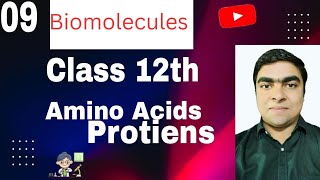 Biomolecules Class 12th Proteins amp Amino Acids [upl. by Julietta350]