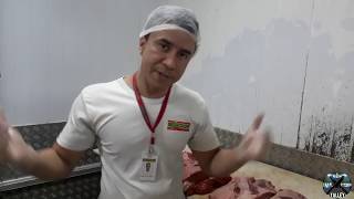 Técnicas simples para identificar as carnes bovinas [upl. by Olifoet]