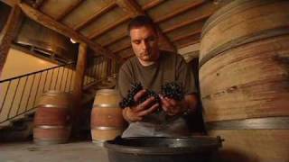 Discover The Wines of the Rhone Valley Part 3 of 3 [upl. by Funk594]