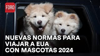 Nuevos requisitos para viajar con tu perro a EUA 2024  A las 3 [upl. by Ardnnaed]