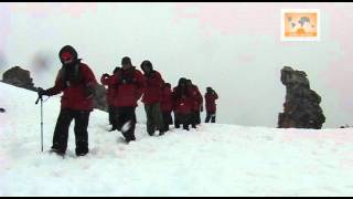 Antarctica  Half Moon Island [upl. by Lenette550]