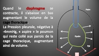 Kinésithérapie Respiratoire 2  La Ventilation Pulmonaire [upl. by Sitarski485]