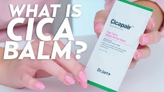 Cica Balm Review Innisfree Bija Dr Jart Cicapair amp More  Beauty with Susan Yara [upl. by Yeldahc]