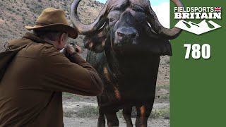 Fieldsports Britain – How to stop a charging buffalo [upl. by Wyne]