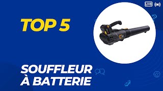 Top 5 Meilleur Souffleur à Batterie 2024 [upl. by Hammer81]