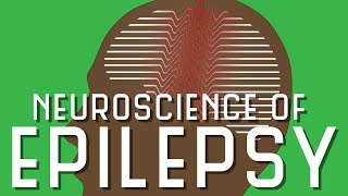 Neuroscience of Epilepsy [upl. by Eelsel213]