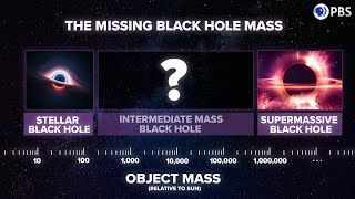 Did JWST SOLVE The Mystery of Supermassive Black Hole Origins [upl. by Llewej]