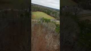 Tree Surfing with the PavoPico fpv [upl. by Ellison]