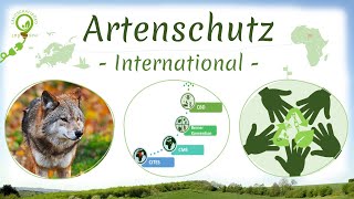 Internationaler Artenschutz CITES WAÜbereinkommen  Bonner CMS  und Berner Konvention  CBD [upl. by Carey]