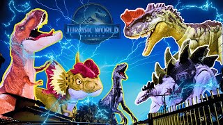 Ultimate Dinosaurs Collection Stegosaurus T REX Indoraptor Kronosaurus amp More Jurassic World [upl. by Aicilat649]