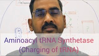 Aminoacyl tRNA Synthetase Part I ChargedtRNA [upl. by Good]