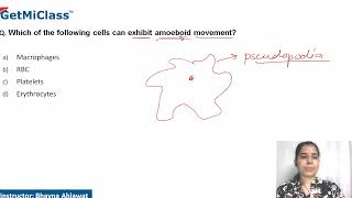 Amoeboid movement [upl. by Hillell]