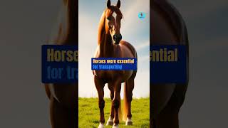 prominent role of horses in wars facts history shortsviral historyfacts horses war role [upl. by Chilcote736]