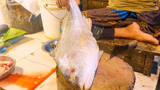 Amazing Giant dhatina Fish Cut Live Video Fish Market of Bangladesh [upl. by Audra666]