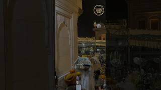 SUKHASAN  Sri Guru Granth Sahib ji  The Golden Temple  Amritsar shorts shortsvideo ytshorts [upl. by Ennylhsa]