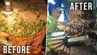 AMAZING GECKO TANK TRANSFORMATIONS 😮  Reacting To Your Setups [upl. by Denyse40]