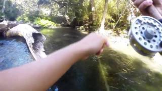 Fly fishing GoPro  Pesca fina Pucón 2016 TRUCHAS Y MOSCAS CHILE [upl. by Olihs714]