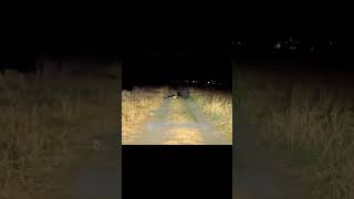 Avoid Abandoned Roads In Nights😱 ghost leftysays paranormal haunted [upl. by Okier]