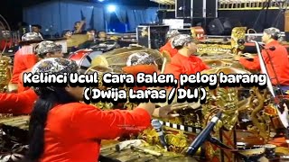 Kelinci Ucul Langgam Garap Cara Balen  Dwijo Laras wayangkulit karawitan sinden viralvideo [upl. by Warder]