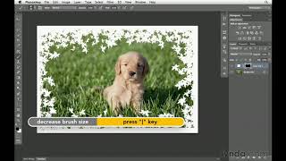 Photoshop Tutorial  How to create custom borders [upl. by Ainoyek]