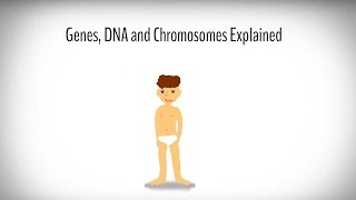 Genes DNA and Chromosomes explained [upl. by Yelhs]