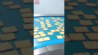 Shortbread Biscuit Production Line with 300500KGH [upl. by Naujd357]