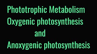 Phototrophic Metabolism  Oxygenic photosynthesis and anoxygenic photosynthesis [upl. by Janyte209]