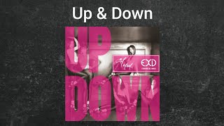 EXID  Up amp Down Audio [upl. by Ehcnalb]