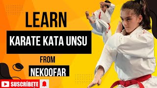 Unsu Karate Training With Coach Nekoofar Part 2 Anilshariatpanahi Nekoofar karate unsukarate [upl. by Darryn]