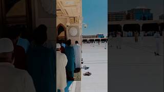 Namaz in masjid nabvi viralvideosheharmadinamasjidnabawishortsshortvideofyptrending [upl. by Gehman]