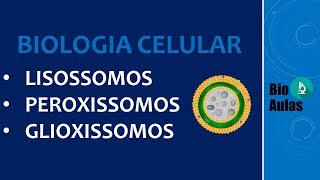 Lisossomos Peroxissomos e Glioxissomos Organelas Citoplasmáticas  Biologia CelularCitologia [upl. by Assiroc693]