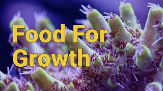 Whats the best coral food for growth [upl. by Adnavoj]