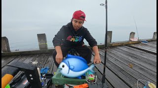 Catch and Cook Portsea Pier Something almost took my rod [upl. by Eilraep]