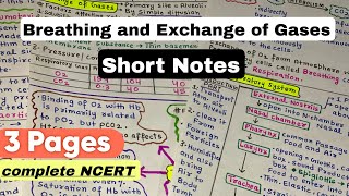 Breathing and Exchange of Gases  Short Handwritten Notes  NEET 2025 biology neet2025 [upl. by Selec603]