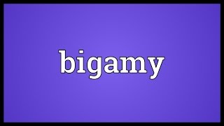 Bigamy Meaning [upl. by Lomasi384]