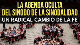 Lo que No Te Contaron del Sínodo de la Sinodalidad La Reforma más Explosiva de la Fe en 20 siglos [upl. by Aliwt]